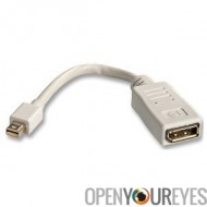 Adapter Mini DisplayPort vers DisplayPort Mâle Femelle